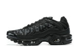 Air Max Plus Shoes - 070