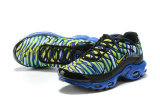 Air Max Plus Shoes - 066