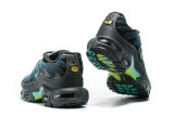 Air Max Plus Shoes - 064