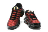 Air Max Plus Shoes - 067