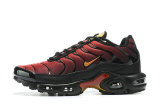 Air Max Plus Shoes - 067