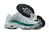 Air Max Plus Shoes - 062