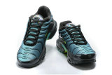 Air Max Plus Shoes - 064