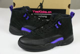 Authentic Air Jordan 12 “Dark Concord”