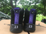 Perfect Air Jordan 12 “Dark Concord”