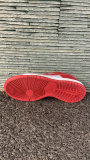 Nike SB Dunk Low (39)