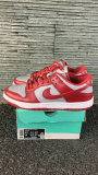 Nike SB Dunk Low (39)