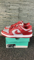 Nike SB Dunk Low (39)