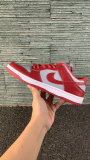 Nike SB Dunk Low (39)