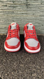 Nike SB Dunk Low (39)