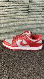 Nike SB Dunk Low (39)