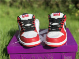 Authentic Nike SB Dunk Low Pro “Chicago” GS