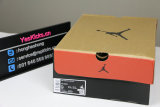 Authentic Air Jordan 12 “Reverse Flu Game”
