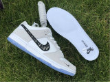 Authentic Nike SB Dunk Low Pro Wolf Grey/White