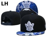 NHL Toronto Maple Leafs Beanies (5)