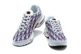 Air Max Plus Shoes - 051