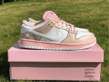 Authentic Nike Dunk SB Low Pink/Rose GS