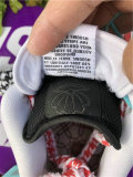 Authentic Frame Skate x Nike SB Dunk Low “Habibi”