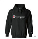 Champion Hoodies M-XXL (95)