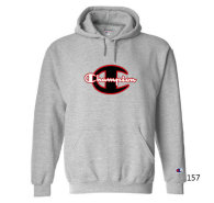 Champion Hoodies M-XXL (123)