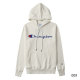Champion Hoodies M-XXL (43)