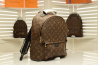 LV Backpack (44)