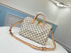 LV Handbag (198)