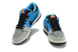 Nike SB Dunk Low (43)