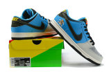 Nike SB Dunk Low (43)