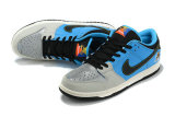 Nike SB Dunk Low (43)