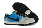 Nike SB Dunk Low (43)