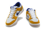 Nike SB Dunk Low Women (32)