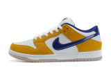 Nike SB Dunk Low Women (32)