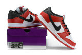Nike SB Dunk Low Women (33)