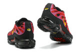 Air Max Plus Shoes - 047