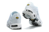 Air Max Plus Shoes - 050
