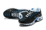 Air Max Plus Shoes - 043