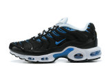 Air Max Plus Shoes - 043