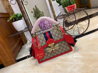 Gucci Handbag AAA (126)