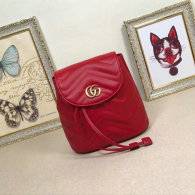 Gucci Handbag AAA (165)