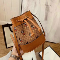 Gucci Handbag AAA (106)