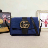 Gucci Handbag AAA (132)