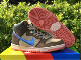 Authentic Concepts x Nike SB Dunk High “Mallard” GS