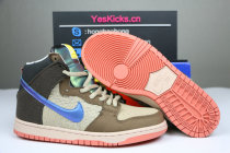 Authentic Concepts x Nike SB Dunk High “Mallard”