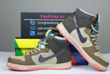 Authentic Concepts x Nike SB Dunk High “Mallard”