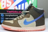 Authentic Concepts x Nike SB Dunk High “Mallard”