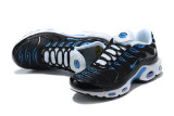 Air Max Plus Shoes - 041