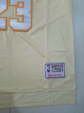 Chicago Bulls NBA Jersey (6)