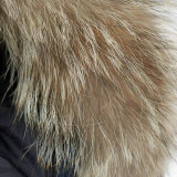 C Down Jacket XS-XXXL (1)