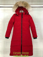 C Down Jacket Women (111)